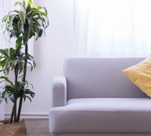 Tratamiento mindfullness Castellón Valencia